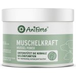 Aniforte Prášek ze slávky zelenoústé 250 g – Hledejceny.cz