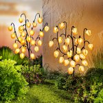 Weltbild LED Zahradní zápich Physalis, 2 ks – Zboží Dáma