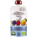 Rudolfs BIO kapsička jablko banán borůvka 110 g – Zboží Dáma