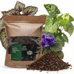 Urban Jungle zemina pro begonie, syngonium, fialky 5 l – Hledejceny.cz