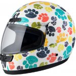 NZI Activy Junior PAWPRINTS