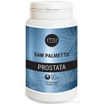 FYTO Saw Palmetto prostata 90 kapslí – Hledejceny.cz