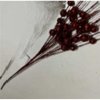Květina Větev s bobulemi X5581-08 - 15 x 5 x 41 cm