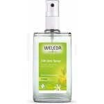 Weleda Citrus deospray 100 ml – Hledejceny.cz