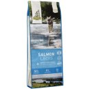 ISE River Junior Salmon with Berries Grain Free 12 kg