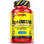 AmixPro OptiMSM 120 kapslí – Hledejceny.cz