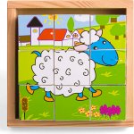 Playme Brimarex obrázkové kostky zvířátka 9 ks kubus v krabičce – Zboží Dáma