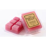 Czech Perfume Candle Aroma vosk Tropický Sen 65 g – Zboží Dáma