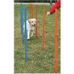 Trixie agility slalom tyče 12ks 115 cm – Sleviste.cz