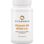 Vitaworld Vitamin D3 4000 IU 100 kapslí – Hledejceny.cz