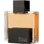 Loewe Solo toaletní voda pánská 125 ml – Hledejceny.cz