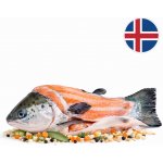 Boxxi Islandský losos skelet na polévku mražený 700 g – Hledejceny.cz