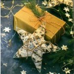 Nekupto Vánoční kartičky na dárky Dárek s hvězdou 6,5 x 6,5 cm 6 kusů – Zboží Dáma Nekupto Vánoční kartičky na dárky Dárek s hvězdou 6,5 x 6,5 cm 6 kusů – Zboží Dáma