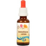 Bachovy květové esence DETOXIKACE OČISTA 30 ml – Hledejceny.cz