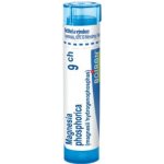 MAGNESIA PHOSPHORICA POR 9CH GRA 1X4G – Hledejceny.cz