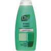 Šampon Dixi šampon březový 250 ml