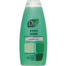 Dixi šampon březový 250 ml