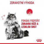 Royal Canin Hair & Skin Care 2 kg – Sleviste.cz