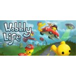 Wobbly Life – Zboží Dáma