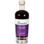 Ginbery's Sloe Gin 28% 0,7 l (holá láhev) – Zboží Mobilmania