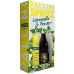 Pallini Limoncello & Prosecco 26% 2 × 0,2 l (holá láhev) – Sleviste.cz