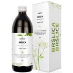 NefdeSanté Bršlice kozí noha 500 ml – Hledejceny.cz
