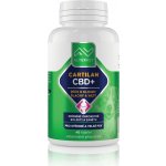 Altervet Cartilan CBD+ 60 g 40 tbl – Hledejceny.cz