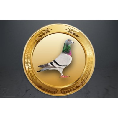 Emblém poštovní holub GL265/GL265_25 – Zboží Mobilmania
