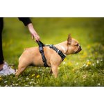 Vsepropejska Zodo sportovní postroj pro psa – Zboží Dáma