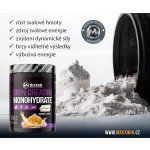 MAXXWIN 100% CREATINE CREAPURE 500 g – Zboží Mobilmania