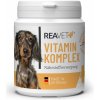 Vitamíny pro psa Reavet Vitamínový komplex pro psy a kočky 100 g