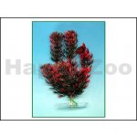 JK rostlina Red Anacharis 18-21 cm – Zboží Mobilmania