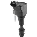 Zapalovací cívka BorgWarner (BERU) ZSE212 – Hledejceny.cz