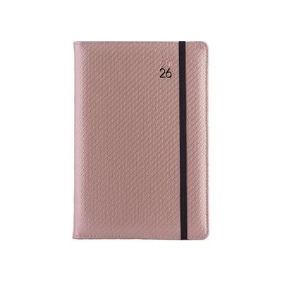 Elastic B6 týdenní 2026 pudrová/černá – Zboží Živě