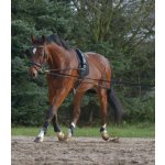 Waldhausen Postroj lonžovací černý – Zboží Mobilmania