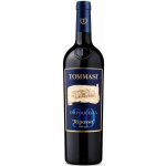 Tommasi Valpolicella Ripasso (Classico Superiore) suché červené 2017 13,5% 0,75 l (holá láhev) – Hledejceny.cz