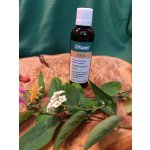 Roni Epam kapky tinktura Čaga 50 ml – Hledejceny.cz