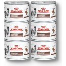 Royal Canin Veterinary Diet Dog Recovery Can 6 x 195 g