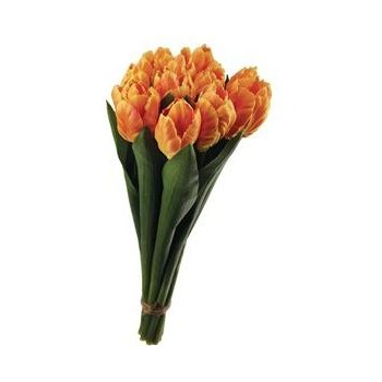 Kytice oranžových tulipánů SIA - SIA