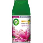 Air Wick Freshmaticic Magnolie & Třešeň náplň 250 ml – HobbyKompas.cz