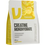 OstroVit Creatine Monohydrate, 300 g – Zboží Mobilmania
