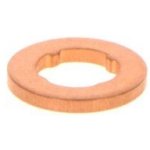 Těsnicí kroužek, držák trysky BOSCH F 00V P01 004 | Zboží Auto