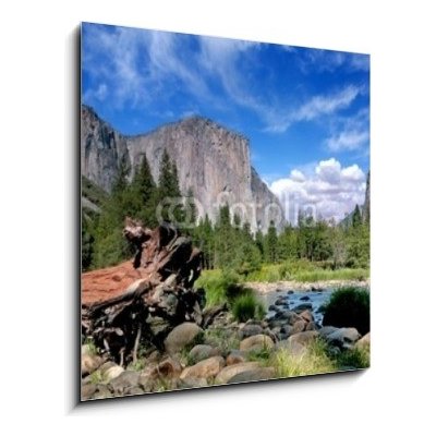 Obraz 1D - 50 x 50 cm - El Capitan View in Yosemite Nation Park El Capitan výhled v národním parku Yosemite
