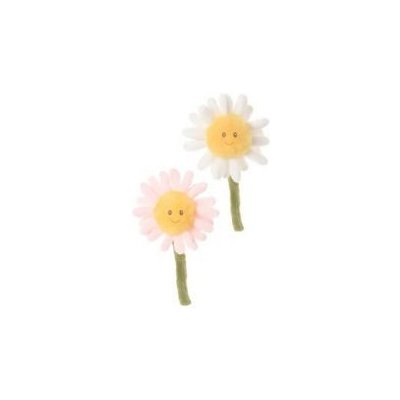 Bukowski sedmikráska Daisy růžová