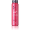 Lendan Color Addict šampon pro barvené vlasy 250 ml