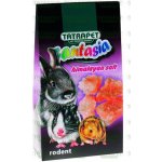 Tatrapet Min.Fantasia himalajská kam. sůl pro hlodavce 100 g – Zboží Dáma