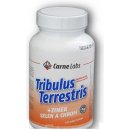 Carne Labs Tribulus Terrestris + Zinek Selen Chrom 120 tablet