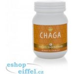 Empower Supplements Chaga Premium 100 kapslí – Hledejceny.cz