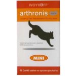 Arthronis ACUTE MINI 60 tbl – Hledejceny.cz