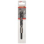 Bosch 2608596300 – Hledejceny.cz